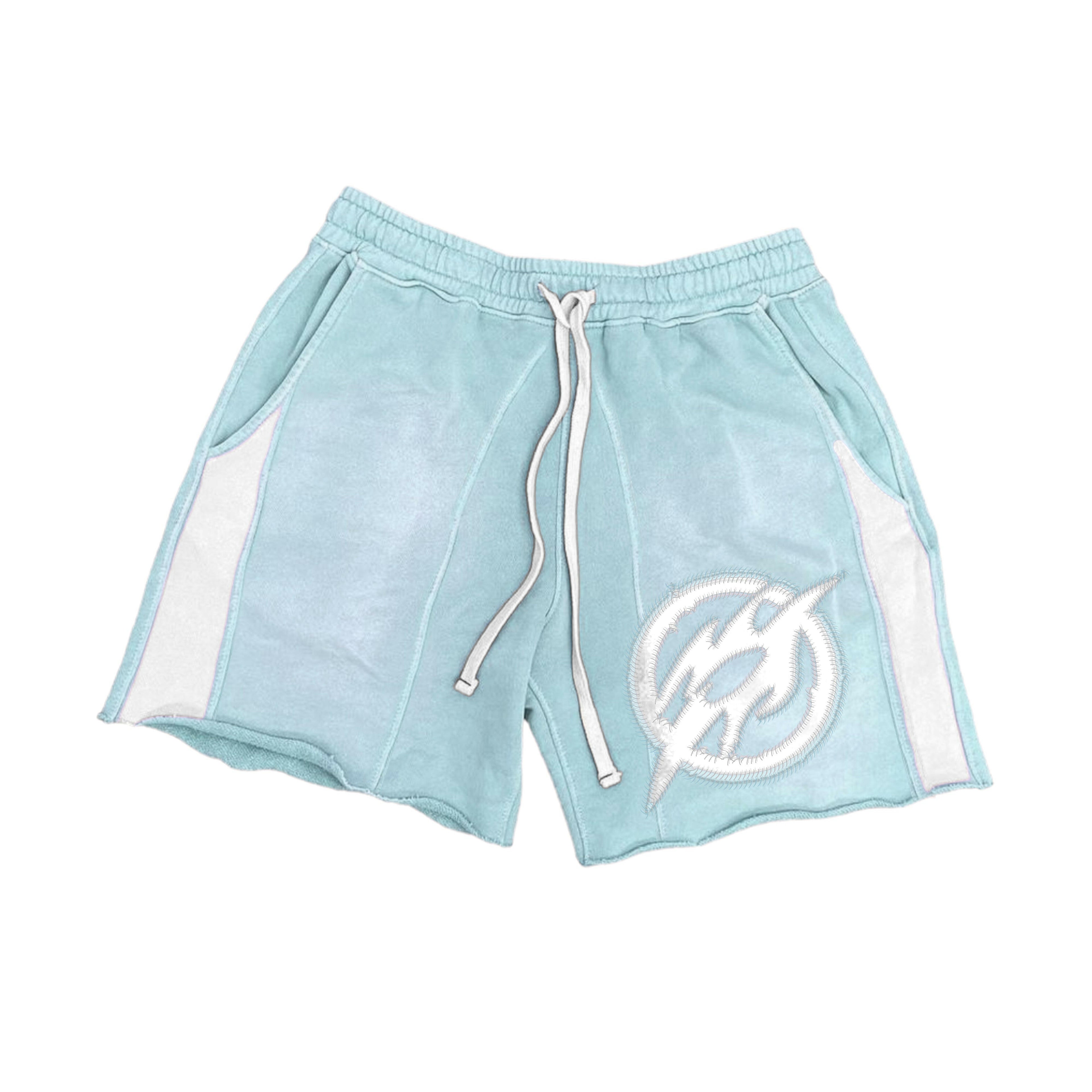 Two Tone Shorts (Blue).