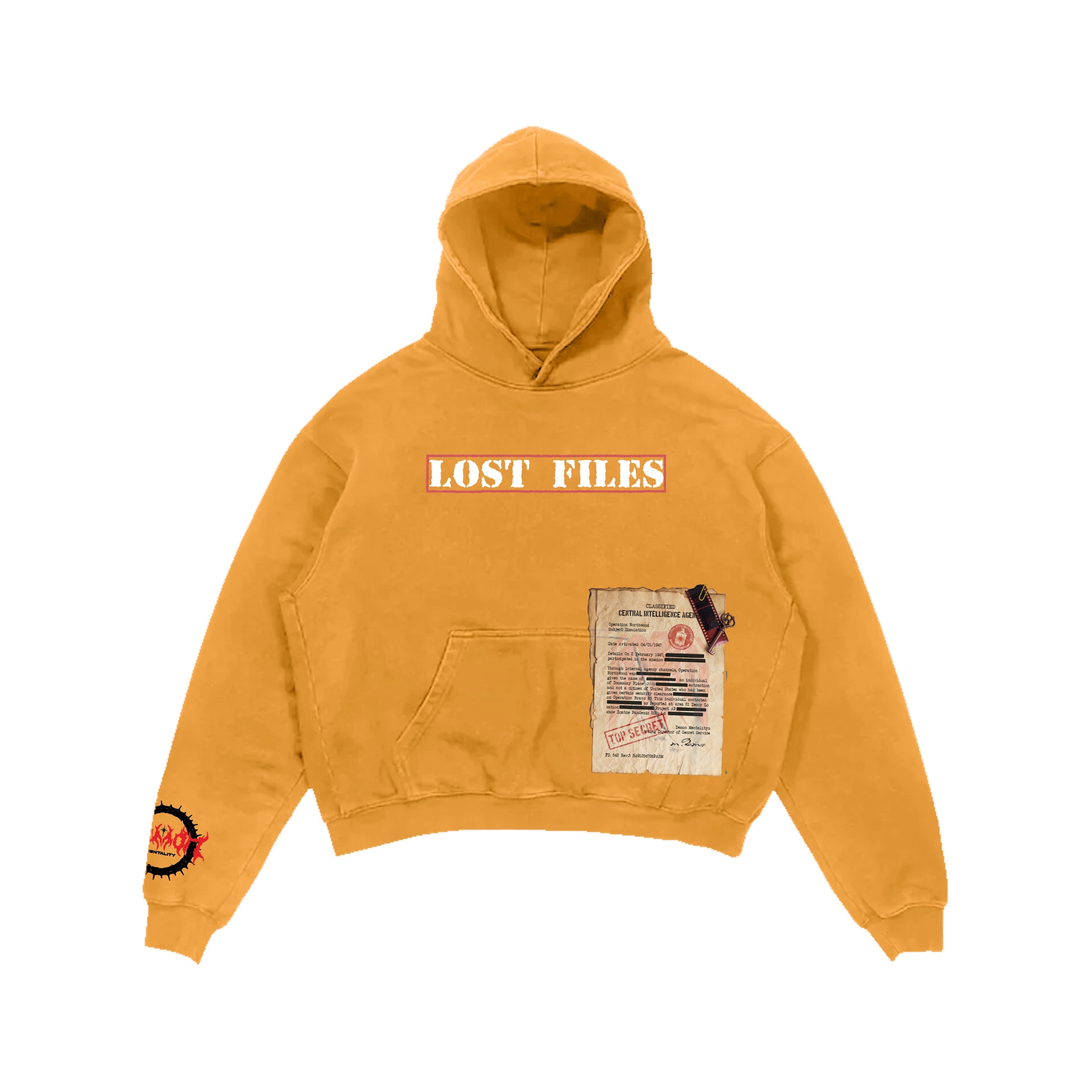 Lost Files Hoodie (Orange)