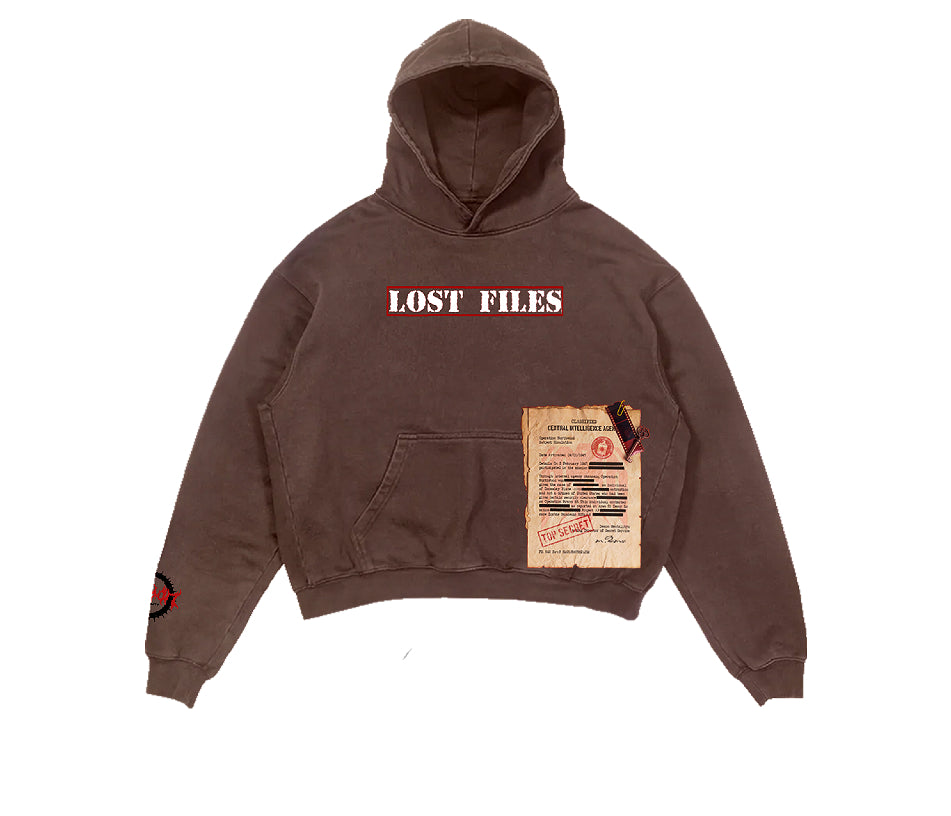 Lost Files Hoodie (Brown)