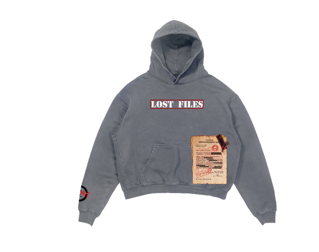 Lost Files Hoodie (Gray)